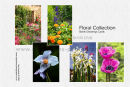 Floral Collection